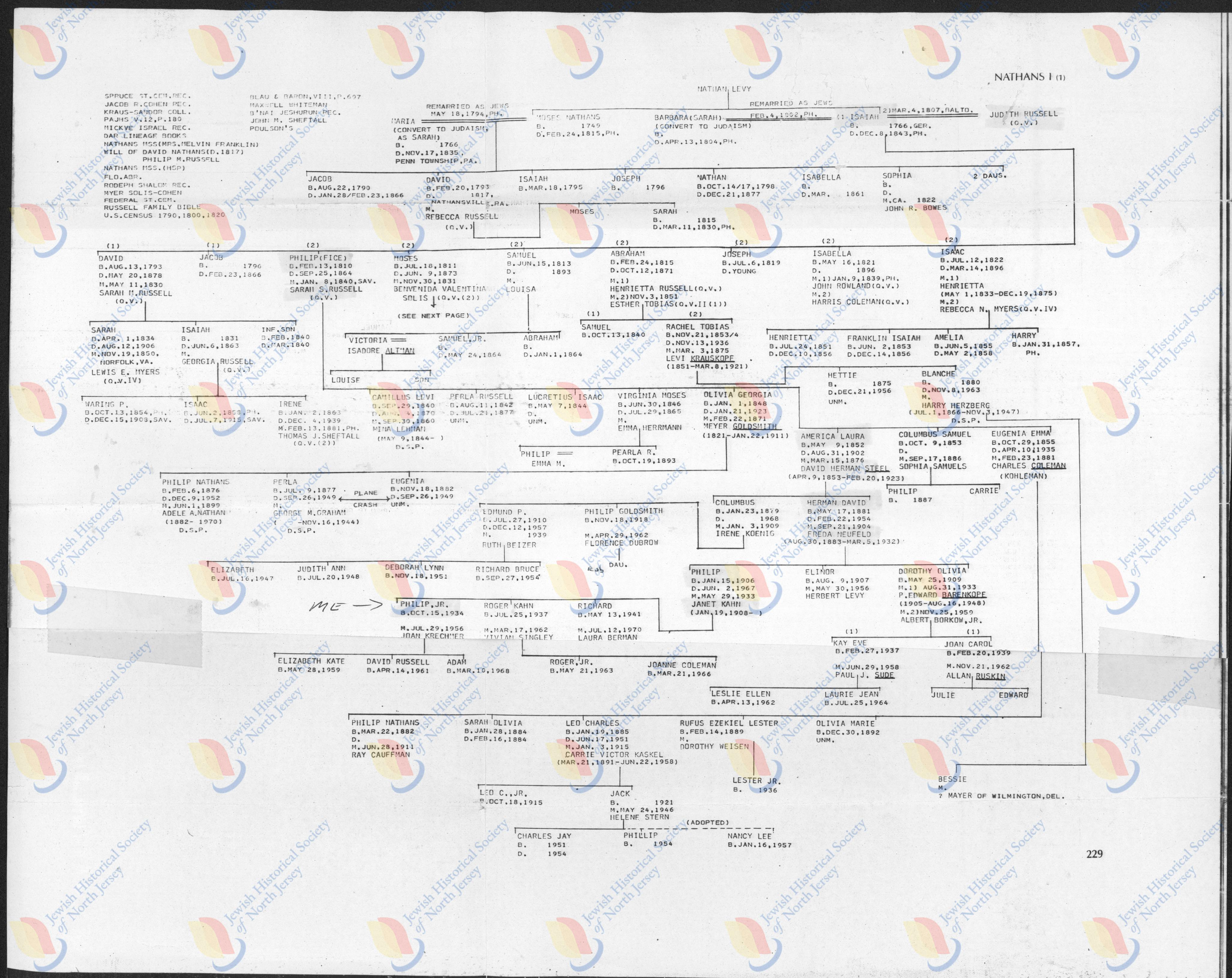 Typed Nathans family tree